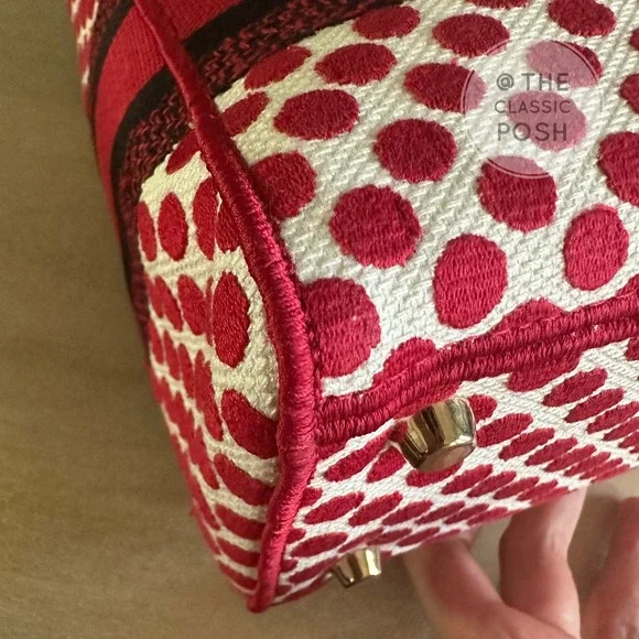 EUC  Rare Christian Dior Lady D Lite Dioramour 2020 Lady Bug Dots Satchel Bag - Picture 12 of 16
